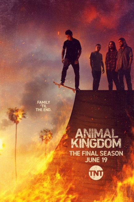 مسلسل Animal Kingdom الموسم السادس الحلقة 4 مترجمة