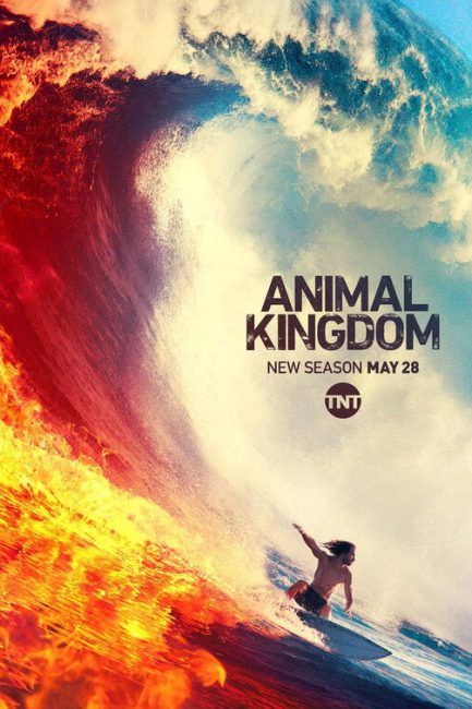 مسلسل Animal Kingdom الموسم الرابع الحلقة 5 مترجمة